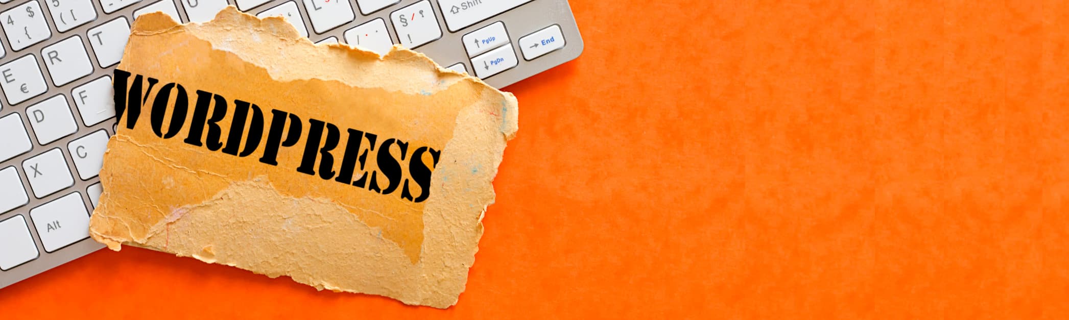 WordPress agency - dream-cms-system