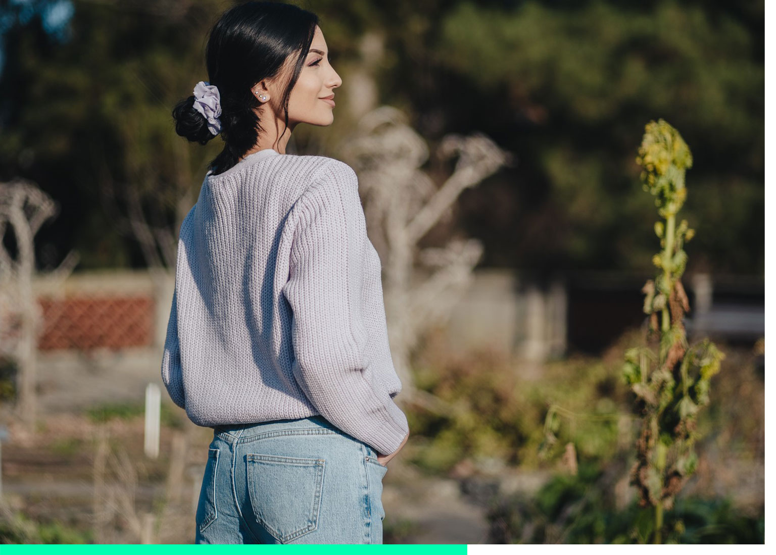 Chicoree-Leadgenerierung-Header