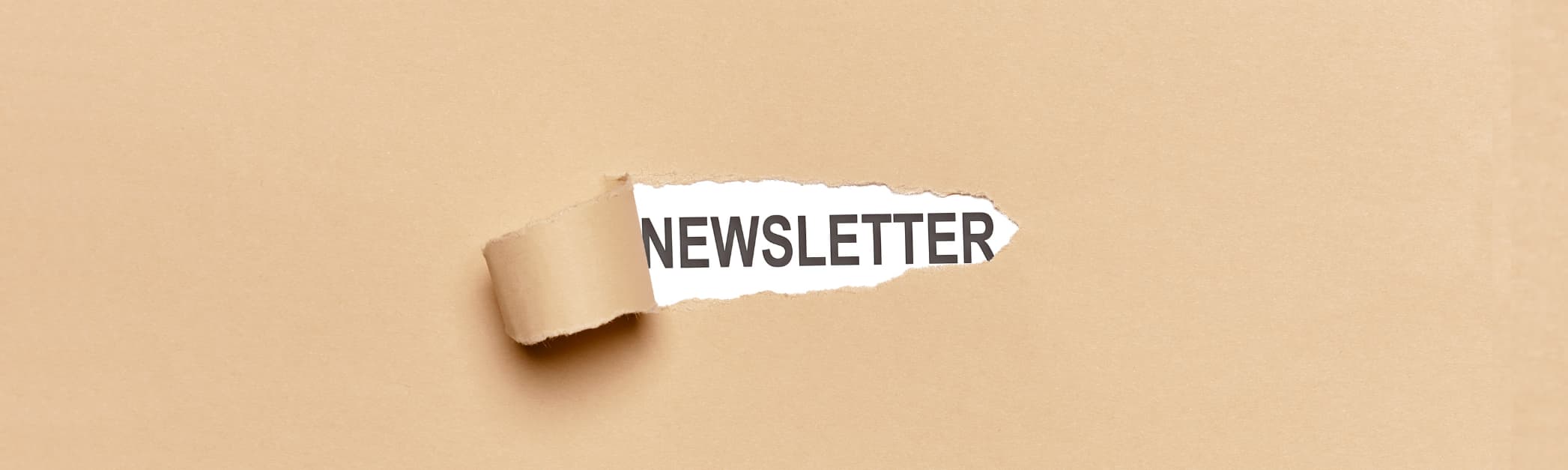 ONELINE Blog external newsletter