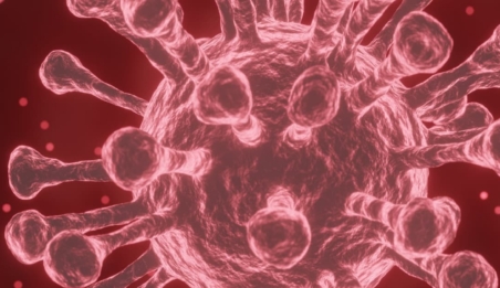 covid19 and online marketing