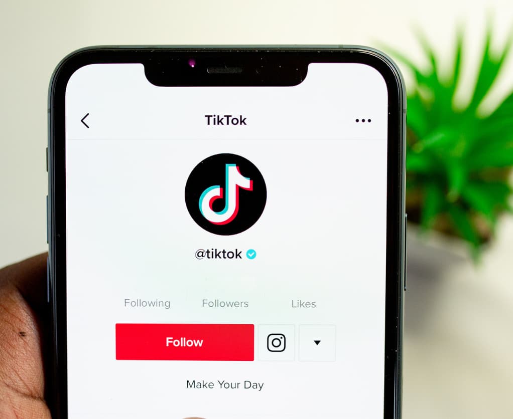 TikTok Ads