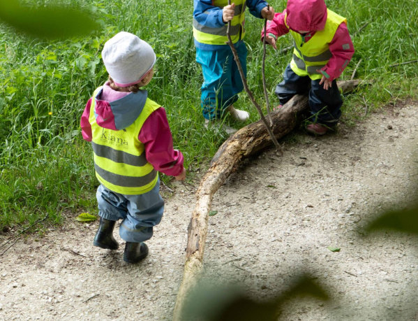 KianaKrippen Cases Bild