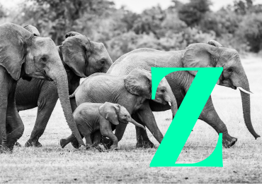 Gen Z und Online Marketing