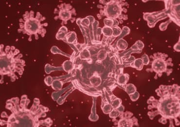 COVID Spike Proteine