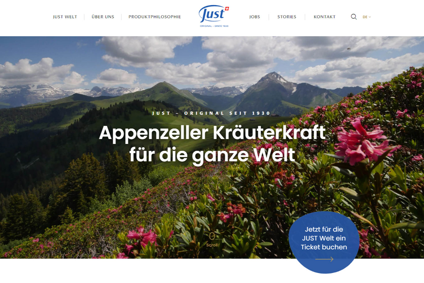 Just Schweiz Web Development
