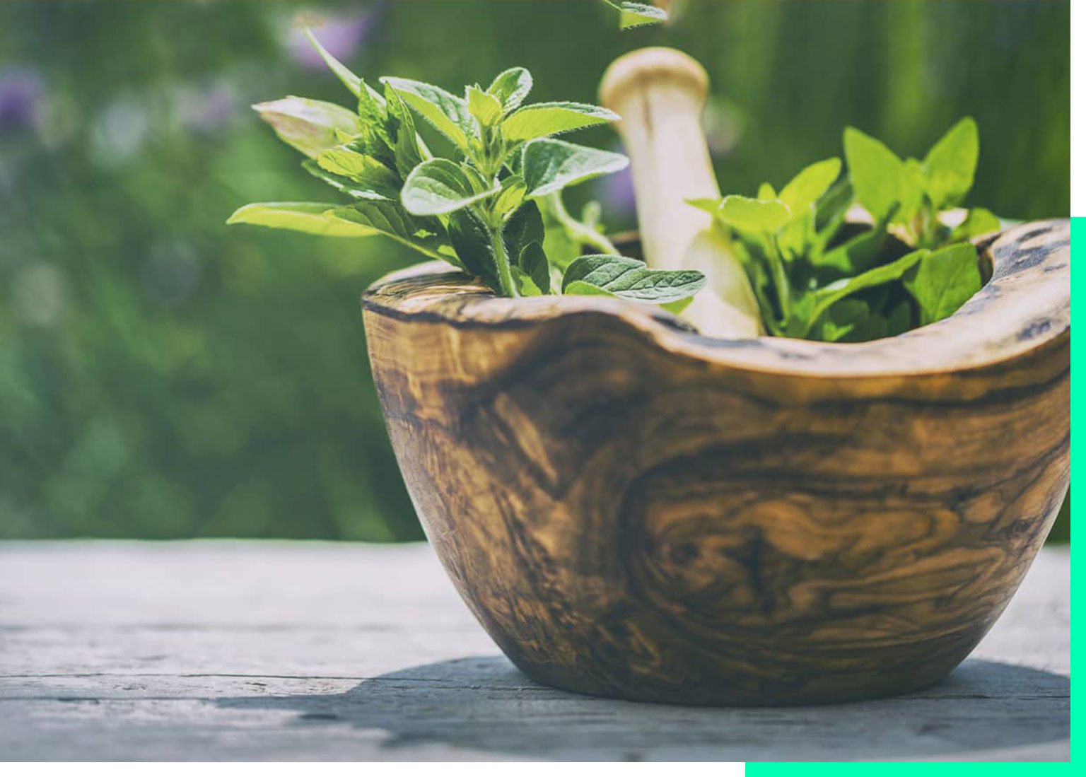 Saner Apotheke Web Development Case