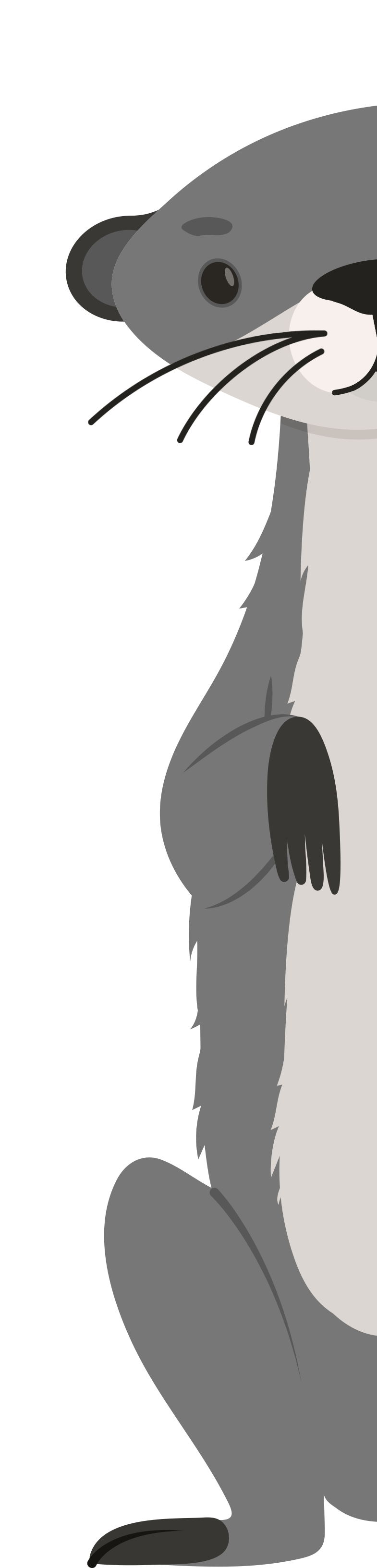 Selling Weasel ONELINE Produkte