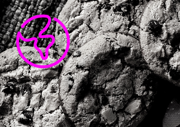 Digital Marketing ohne Cookies