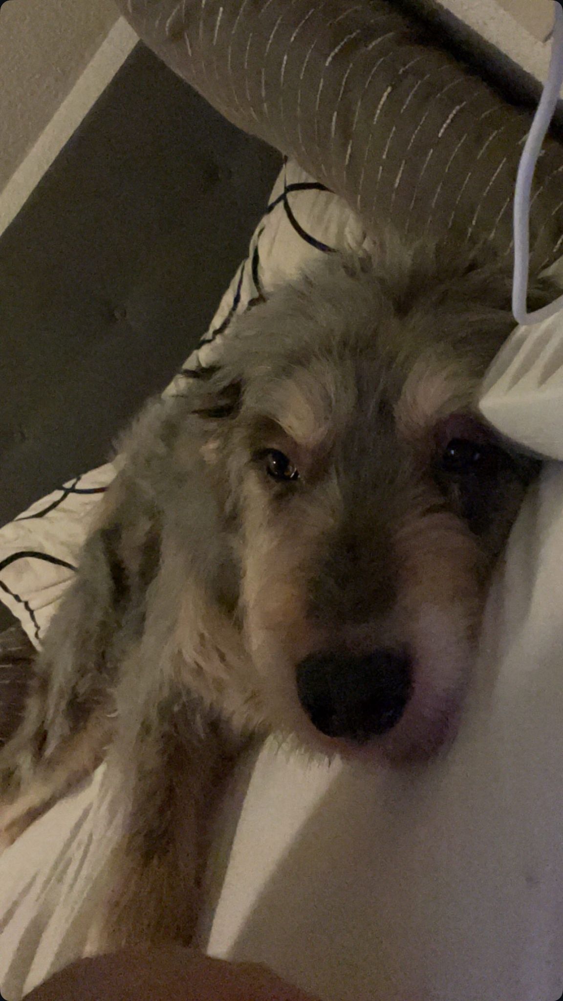 WhatsApp Image 2025-08-13 at 16.35.39